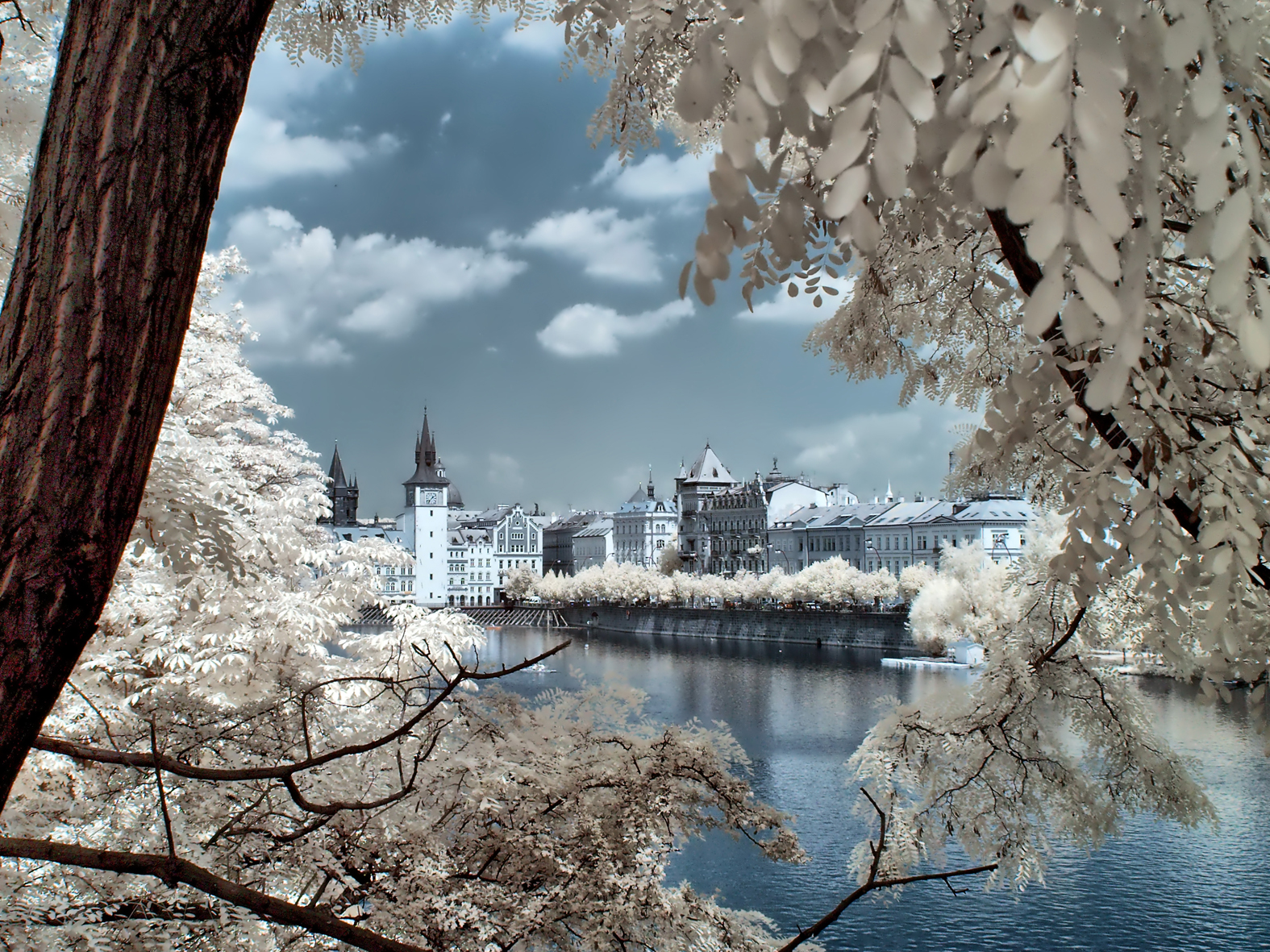 Praha 6